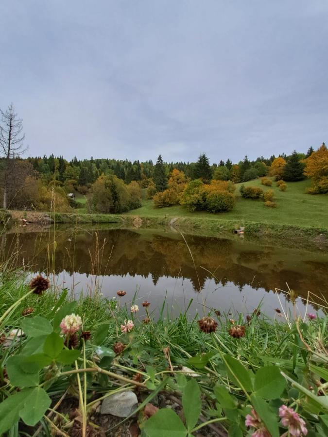 Cabane Areama Neagra Izvoru Mureşului Extérieur photo