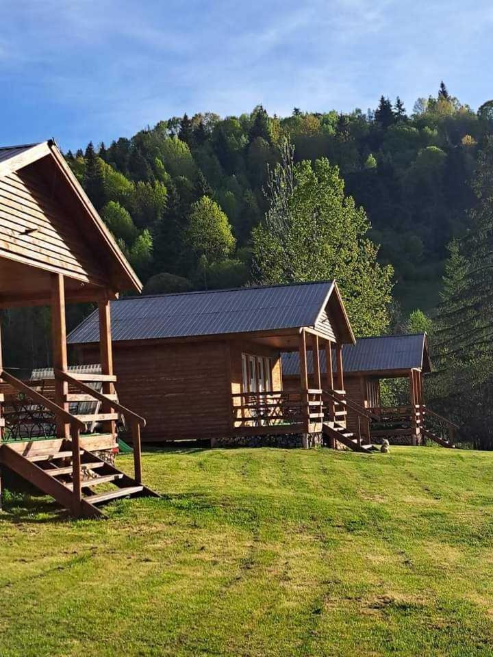Cabane Areama Neagra Izvoru Mureşului Extérieur photo